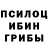 Псилоцибиновые грибы GOLDEN TEACHER Alla Azanova