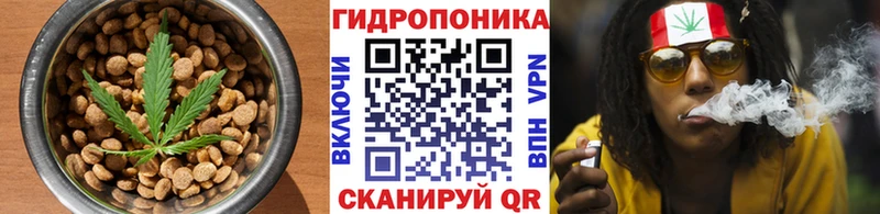 Canna-Cookies конопля гидра как войти Дедовск