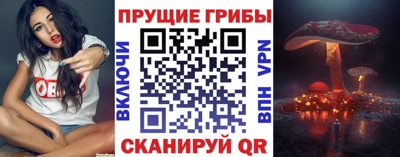 shop Telegram закладка Дедовск Псилоцибиновые грибы GOLDEN TEACHER